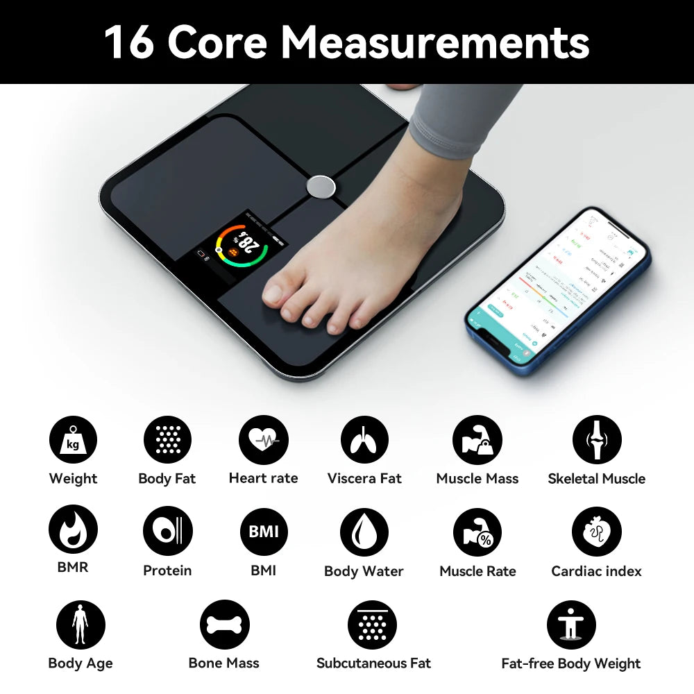 Digital Body Human Scale